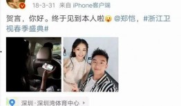 徐胖子爆料小王子视频,小王子视频背后的惊人真相